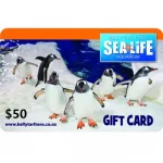 Kelly-Tarltons-50-NZD-Physical-Gift-Card-Express-Delivery-2.jpg